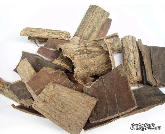 中药名杜仲,徐长卿、王不留行,怎么听起来好像人名,谁知道原因