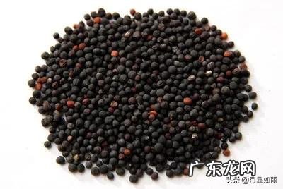 中药名杜仲,徐长卿、王不留行,怎么听起来好像人名,谁知道原因