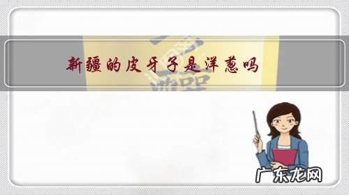 洋葱和皮牙子是一种吗 新疆的皮牙子是洋葱吗?