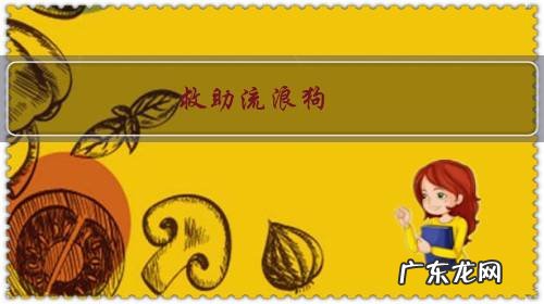 救助流浪狗,为什么老是被不理解?