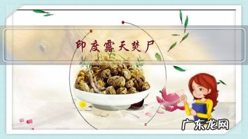 印度露天焚尸,视觉冲击力强,为什么火葬在印度大行其道?