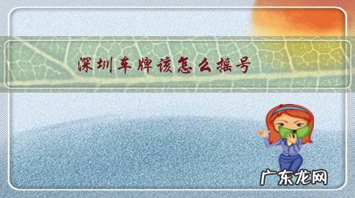 深圳车牌该怎么摇号?