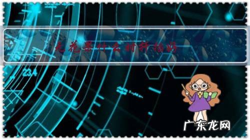 无花果树怎么扦插什么时候扦插好 无花果什么时扦插好?