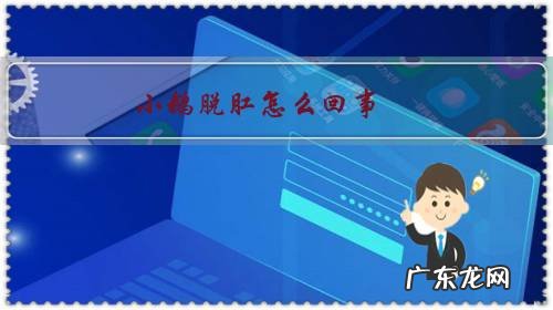 蛋鹅脱肛怎么办 小鹅脱肛怎么回事?