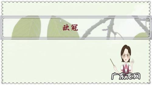 欧冠:皇马输球又输人,维尼修斯关节韧带撕裂,将休养两个月,皇马输在运气吗?