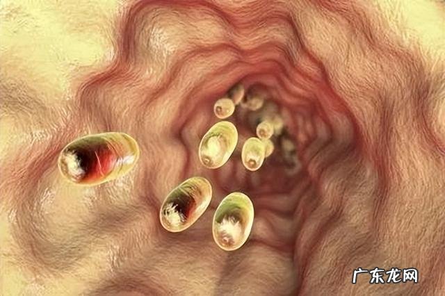 中医如何改善肿瘤体质