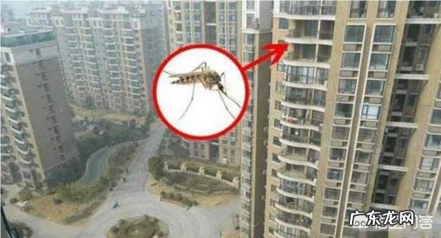 住宅楼几层以上就没有蚊子了