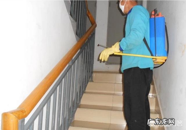 住宅楼几层以上就没有蚊子了