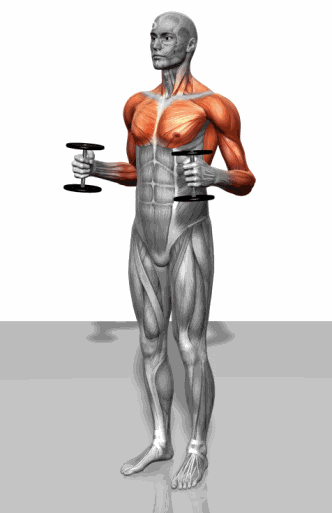 怎么样锻炼才能有效的减肥