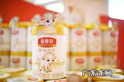 伊利金领冠悠滋小羊这款奶粉怎么样是一款易吸收奶粉吗