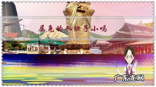 属兔的人命不好 属兔的人胆子小吗?