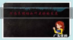 河南牧业养猪场 河南养猪场如何更好的发展？