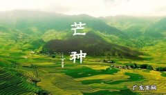 芒种歌曲表达什么情感