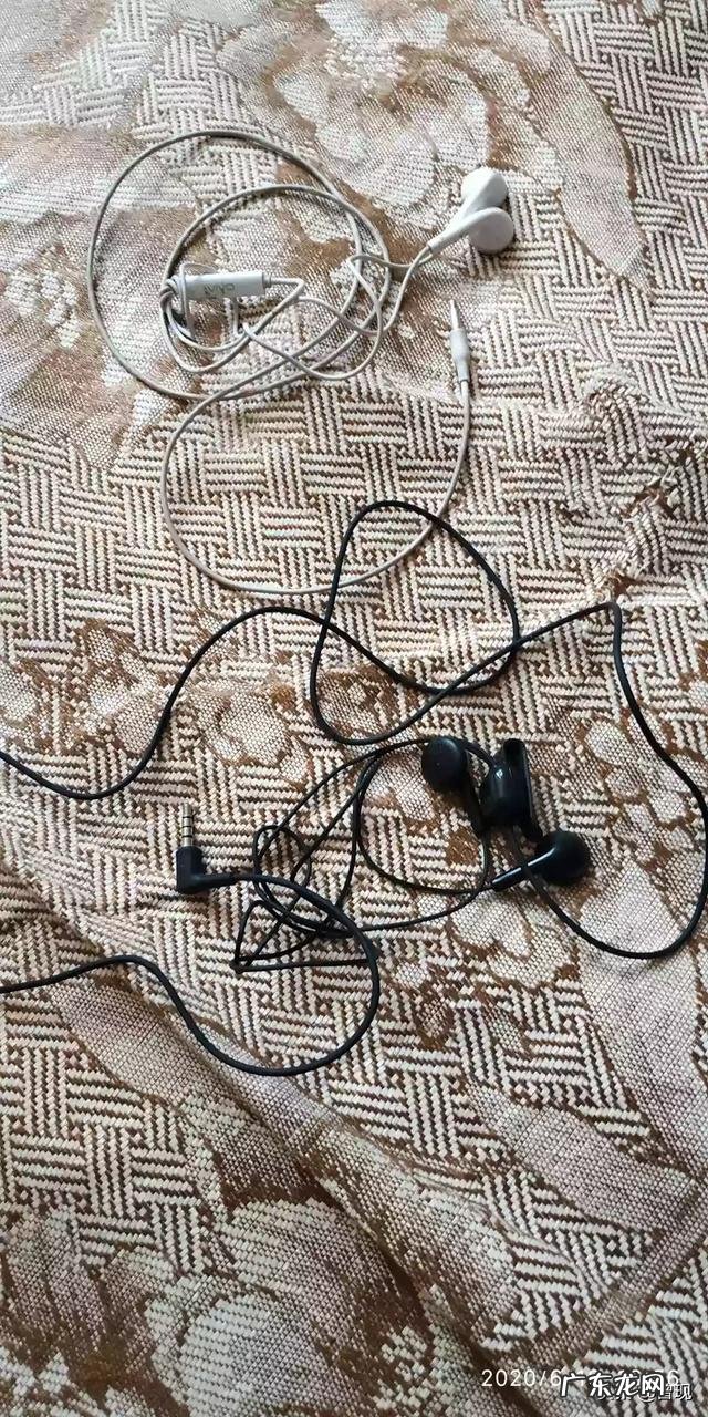 猫咪是否具有听懂自己名字的能力