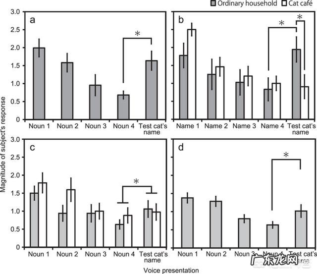 猫咪是否具有听懂自己名字的能力