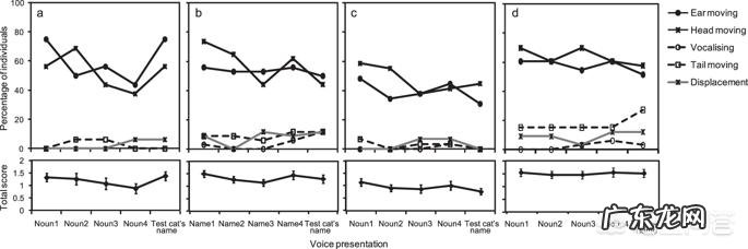猫咪是否具有听懂自己名字的能力