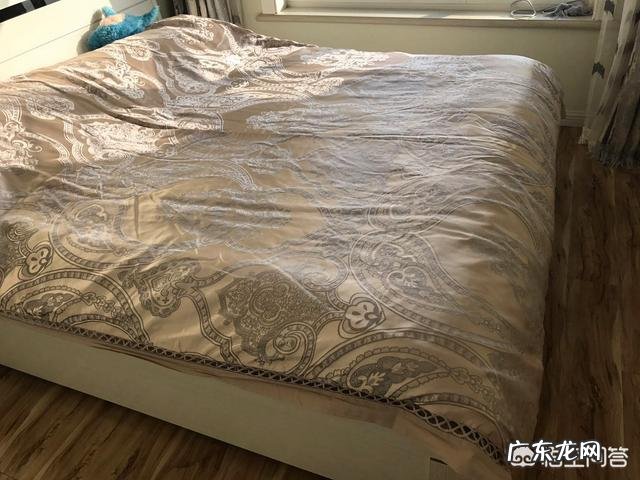 猫咪是否具有听懂自己名字的能力