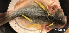 草鱼怎么做给儿童吃