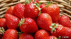 草莓什么样最好吃