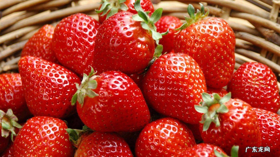 草莓什么样最好吃