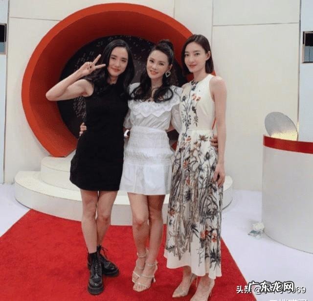 “异装癖”的伊能静儿子哈利,撕开了多少明星家庭的“遮羞布”