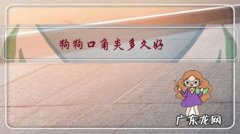 狗狗口角炎多久好，狗得了口角炎有什么症状？