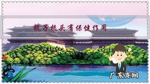 每天梳子梳头发能帮助生发吗 梳子梳头有保健作用？可以生发？