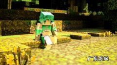 钻石剑满级附魔指令