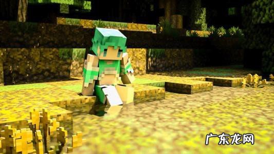 钻石剑满级附魔指令