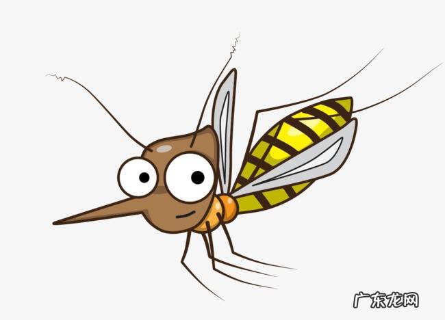 世界蚊子日是什么意思