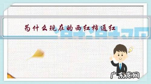 西红柿为什是红红的 为什么现在的西红柿通红?
