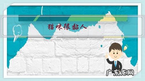 猫咪很黏人，是不是它很孤独？