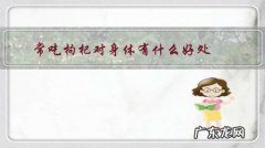 常吃枸杞对身体有什么好处？该怎么食用？