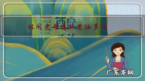 母鸡肚子里有很多油 林间老母鸡肚里油多吗?