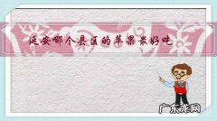 延安地区苹果最好的那几个县 延安哪个县区的苹果最好吃？