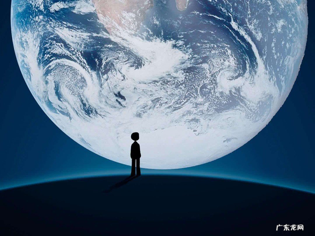 微信手续费怎么收