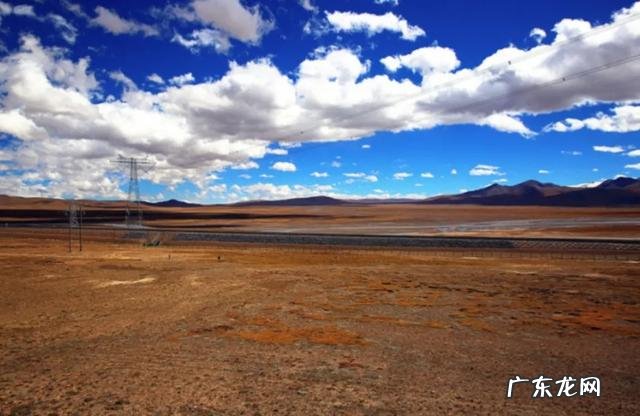 徐铮的电影要被抵制,气不气人