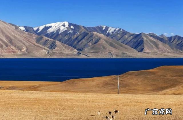 徐铮的电影要被抵制,气不气人