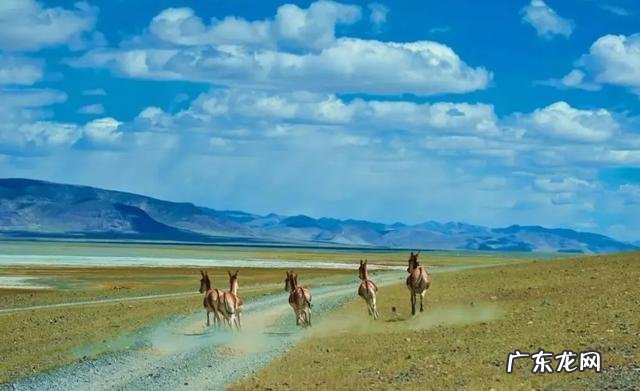 徐铮的电影要被抵制,气不气人