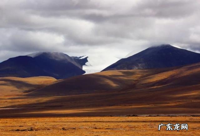 徐铮的电影要被抵制,气不气人