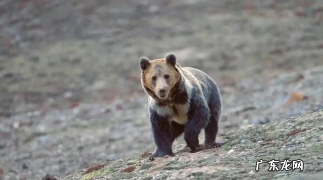 徐铮的电影要被抵制,气不气人