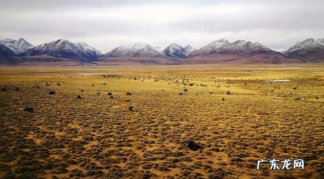 徐铮的电影要被抵制,气不气人