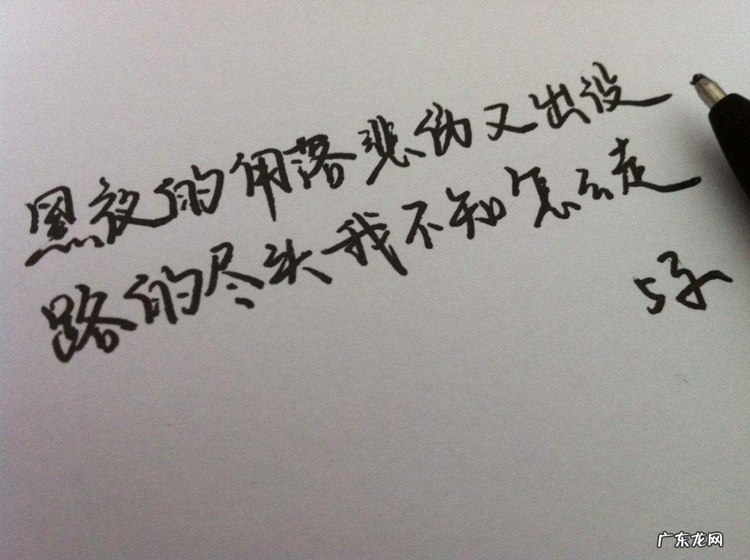 适合所有情绪的句子工作