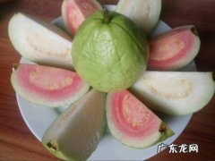 芭乐的皮可以吃吗