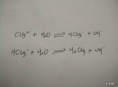 氢氧根和碳酸根共存吗