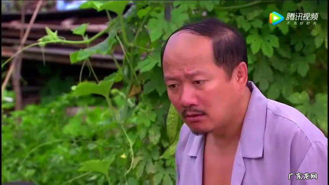 谢广坤是什么梗