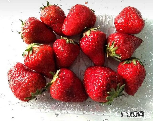 在家如何做草莓奶昔?