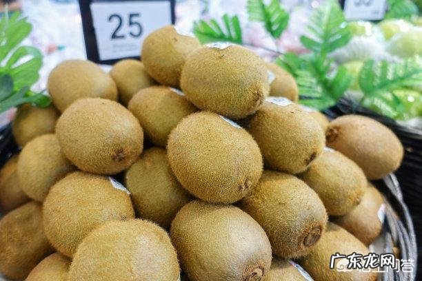 奇异果和猕猴桃一样吗为何奇异果更贵、口感更好吃呢