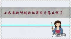 小米最新研制的松果芯片怎么样了？技术上有突破吗？