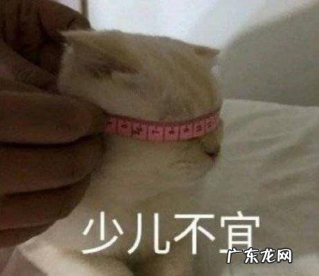 百万网红参加恋爱综艺!首尔汉阳大学舞蹈生,宋智雅教你谈恋爱